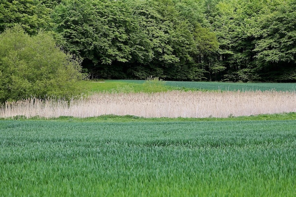 Foto van Luxe villa met zwembad in Lohals - Vakantiehuis in Tranekær - Untagged