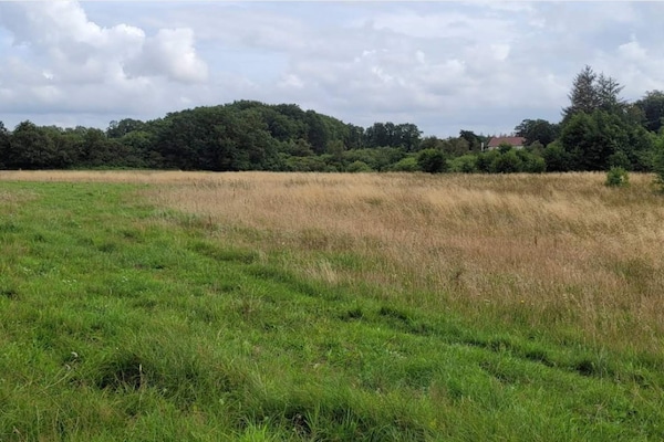 Foto van 4 persoons vakantie huis in Hovborg-By Traum - Vakantiehuis in Hovborg - Untagged