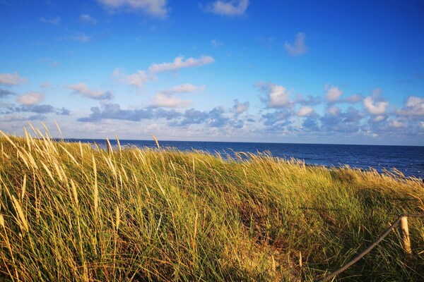 Foto van Luxe retraite met spa -- By Traum Ferienwohnungen - Vakantiehuis in Blåvand - WaterView