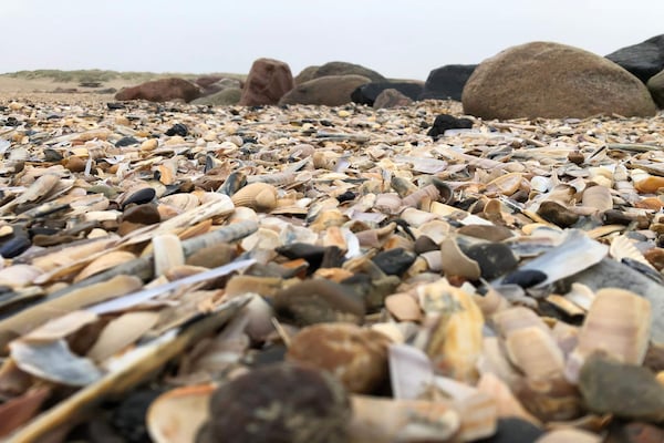 Foto van Luxe retraite met spa -- By Traum Ferienwohnungen - Vakantiehuis in Blåvand - Untagged