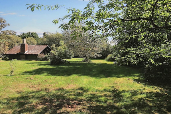 Foto van 5 persoons vakantie huis in Rødby-By Traum - Vakantiehuis in Rødby - View