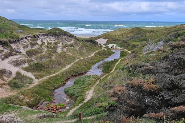 Foto van 11 persoons vakantie huis in Thisted-By Traum - Vakantiehuis in Thisted - Untagged