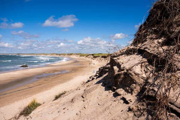 Foto van 11 persoons vakantie huis in Thisted-By Traum - Vakantiehuis in Thisted - WaterView