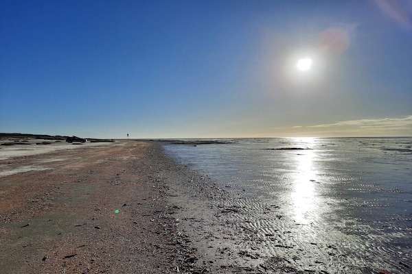 Foto van Luxe vakantiehuis met zwembad - Vakantiehuis in Fanø - WaterView