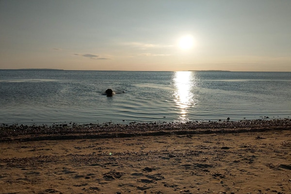 Foto van Panoramisch toevluchtsoord met Spa - Vakantiehuis in Ranum - WaterView