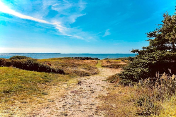 Foto van Panoramisch toevluchtsoord met Spa - Vakantiehuis in Ranum - Outdoor