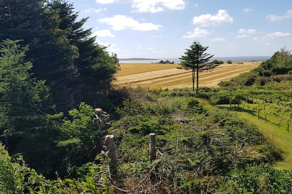 Foto van Panoramisch toevluchtsoord met Spa - Vakantiehuis in Ranum - Outdoor