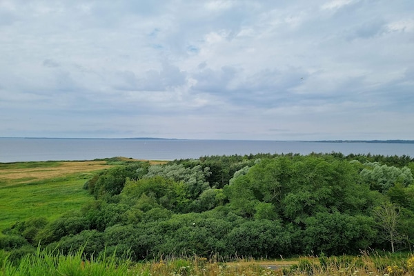 Foto van Panoramisch toevluchtsoord met Spa - Vakantiehuis in Ranum - Outdoor