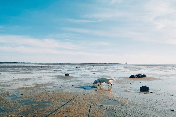 Foto van Luxe retraite met zwembad - Vakantiehuis in Jægerspris - WaterView
