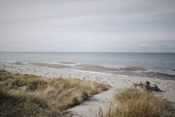 Foto van 6 persoons vakantie huis in Læsø - Vakantiehuis in Læsø - WaterView