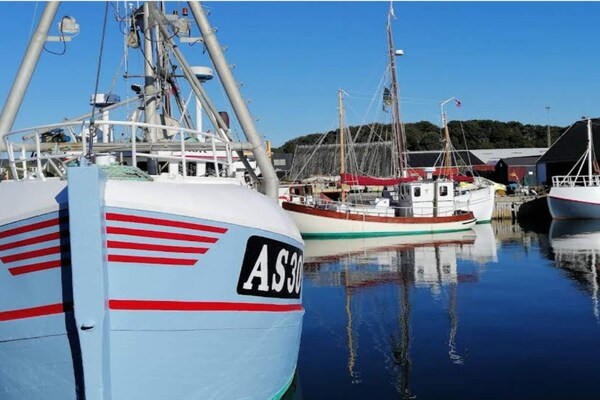 Foto van 5 persoons vakantie huis in Ebeltoft-By Traum - Vakantiehuis in Ebeltoft - Untagged