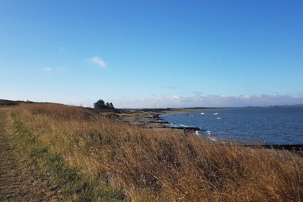 Foto van 11 persoons vakantie huis in Vinderup-By Traum - Vakantiehuis in Vinderup - WaterView