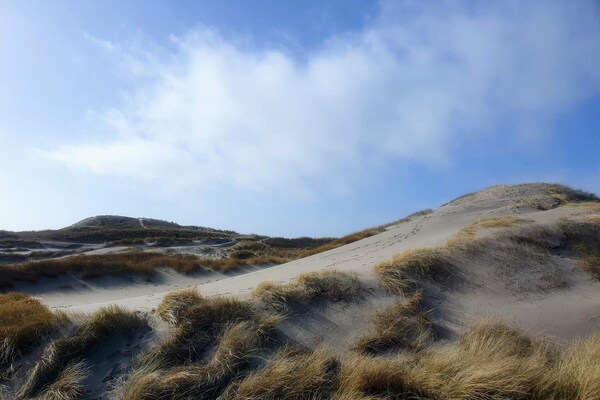 Foto van 6 persoons vakantie huis in Ringkøbing-By Traum - Vakantiehuis in Ringkøbing - Untagged