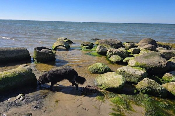 Foto van Luxe vakantieverblijf met zwembad - Vakantiehuis in Nordborg - WaterView