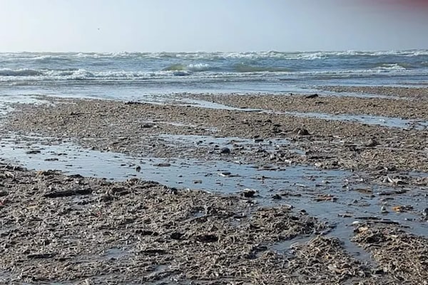 Foto van 10 persoons vakantie huis in Blåvand - Vakantiehuis in Blåvand - WaterView