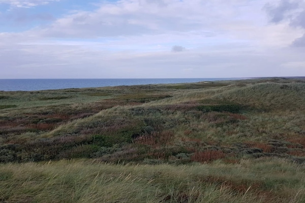 Foto van Vakantiehuis voor 12 personen in Thisted - Vakantiehuis in Thisted - WaterView