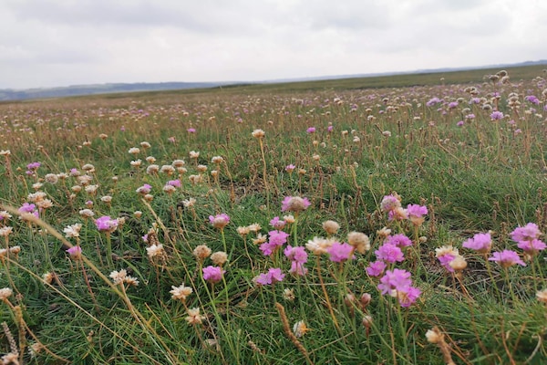 Foto van 6 persoons vakantie huis in Lemvig-By Traum - Vakantiehuis in Lemvig - Untagged