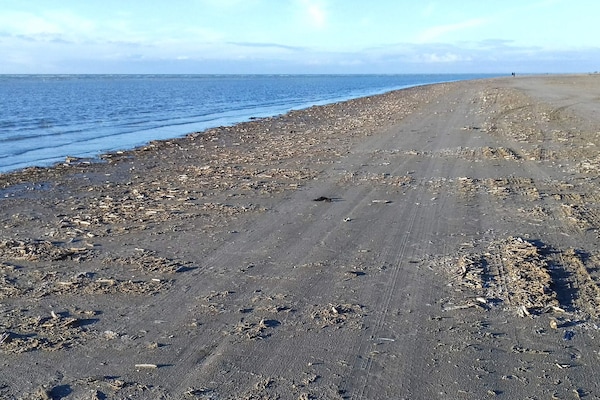 Foto van 12 persoons vakantie huis in Fanø-By Traum - Vakantiehuis in Fanø - WaterView