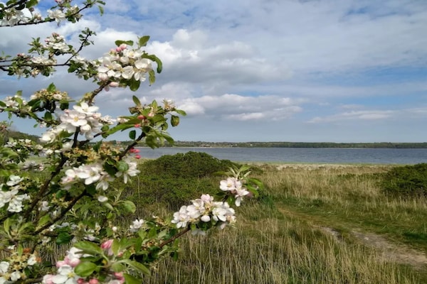 Foto van 10 persoons vakantie huis in Rønde-By Traum - Vakantiehuis in Rønde - WaterView