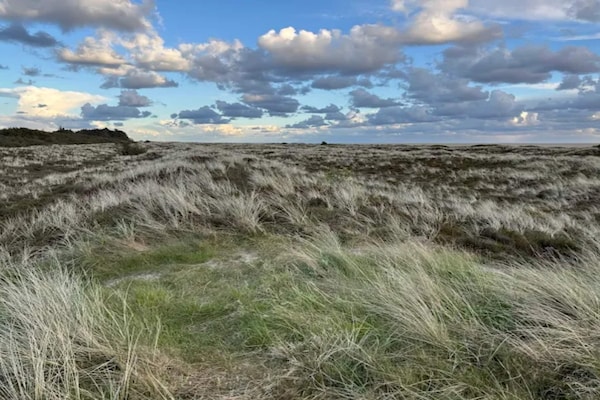 Foto van Luxe retraite in Romo -- By Traum Ferienwohnungen - Vakantiehuis in Rømø - Untagged