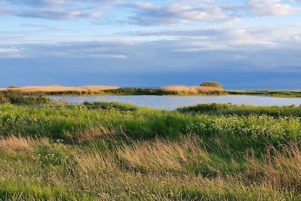 Foto van 10 persoons vakantie huis in Dragør-By Traum - Vakantiehuis in Dragør - WaterView