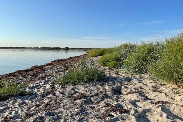 Foto van 10 persoons vakantie huis in Dragør-By Traum - Vakantiehuis in Dragør - WaterView