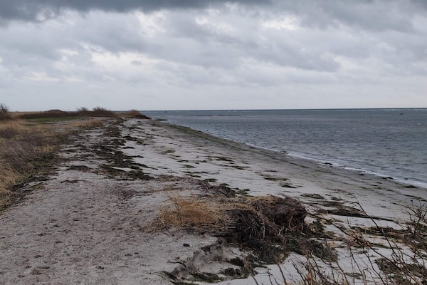 Foto van 10 persoons vakantie huis in Dragør-By Traum - Vakantiehuis in Dragør - WaterView
