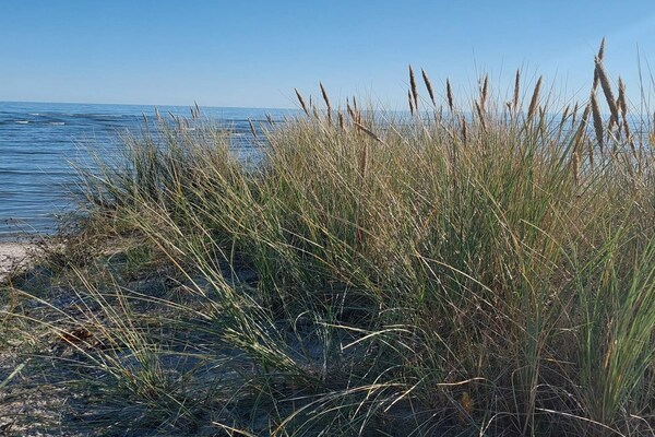 Foto van 4 persoons vakantie huis in Hals-By Traum - Vakantiehuis in Hals - WaterView
