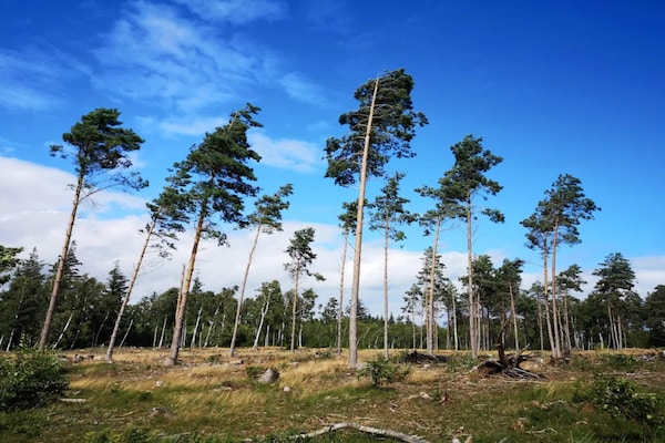 Foto van 14 persoons vakantie huis in Væggerløse-By Traum - Untagged