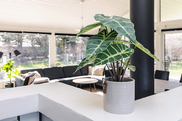 Foto van Luxe retraite in Lonstrup - Vakantiehuis in Hjørring - Indoor