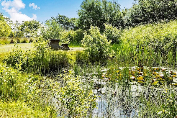 Foto van 14 persoons vakantie huis in Rønne-By Traum - Vakantiehuis in Rønne - Outdoor