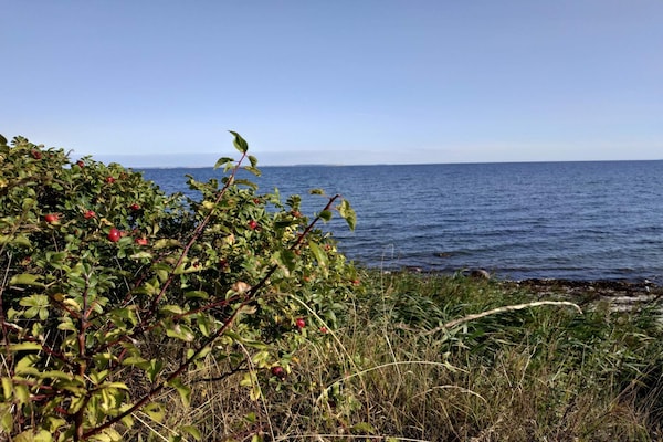 Foto van 12 persoons vakantie huis in Nordborg - Vakantiehuis in Nordborg - WaterView