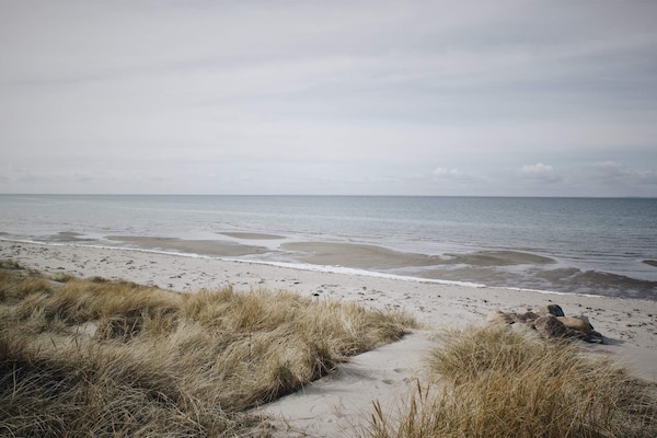 Foto van 12 persoons vakantie huis in Læsø-By Traum - Vakantiehuis in Læsø - WaterView