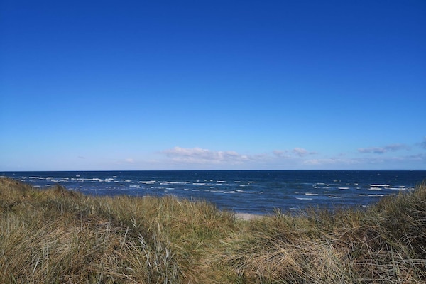 Foto van 12 persoons vakantie huis in Læsø-By Traum - Vakantiehuis in Læsø - WaterView