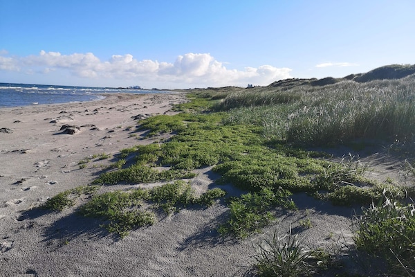 Foto van 12 persoons vakantie huis in Læsø-By Traum - Vakantiehuis in Læsø - WaterView