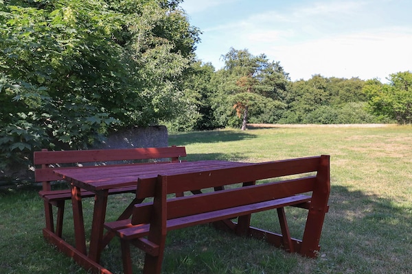 Foto van 12 persoons vakantie huis in Læsø-By Traum - Vakantiehuis in Læsø - View