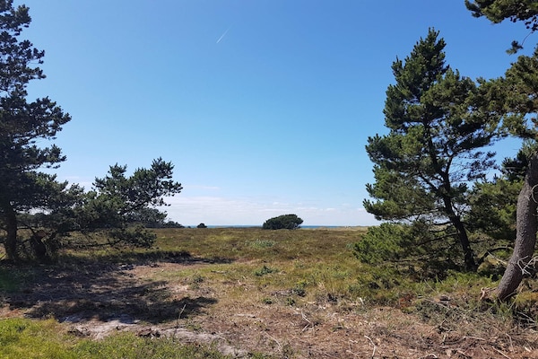 Foto van 12 persoons vakantie huis in Læsø-By Traum - Vakantiehuis in Læsø - Untagged