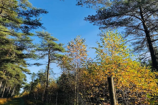 Foto van 8 persoons vakantie huis in Fjerritslev-By Traum - Vakantiehuis in Fjerritslev - Untagged