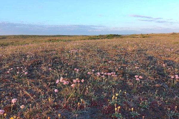 Foto van 8 persoons vakantie huis in Fjerritslev-By Traum - Vakantiehuis in Fjerritslev - Untagged