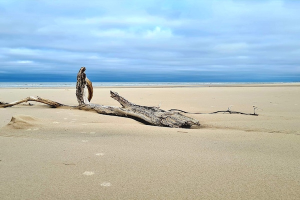 Foto van 8 persoons vakantie huis in Bindslev-By Traum - Vakantiehuis in Bindslev - Untagged