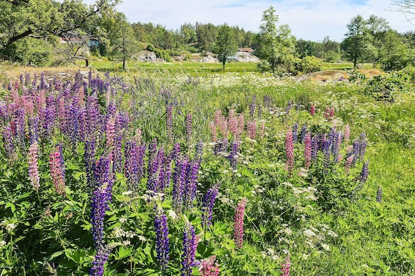 Foto van 10 persoons vakantie huis in Søndeled - Vakantiehuis in Søndeled - Untagged