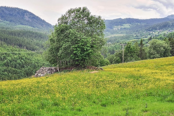 Foto van 10 persoons vakantie huis in Søndeled - Vakantiehuis in Søndeled - Untagged