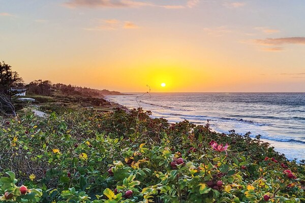 Foto van 4 persoons vakantie huis in Gilleleje-By Traum - Vakantiehuis in Gilleleje - WaterView