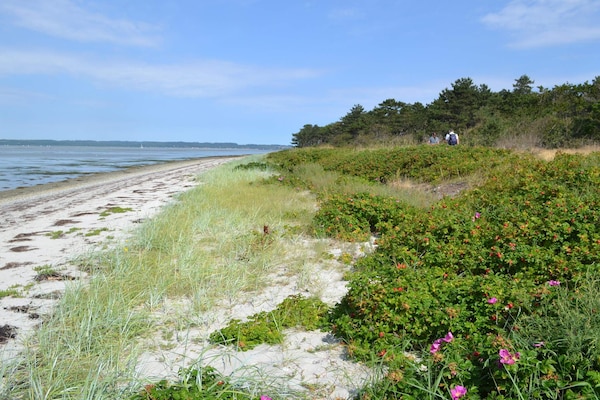 Foto van 10 persoons vakantie huis in Ebeltoft-By Traum - Vakantiehuis in Ebeltoft - WaterView