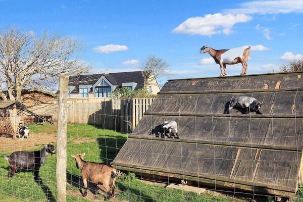 Foto van Schilderachtige retraite in Nordjylland -- By Traum Ferienwohnungen - View