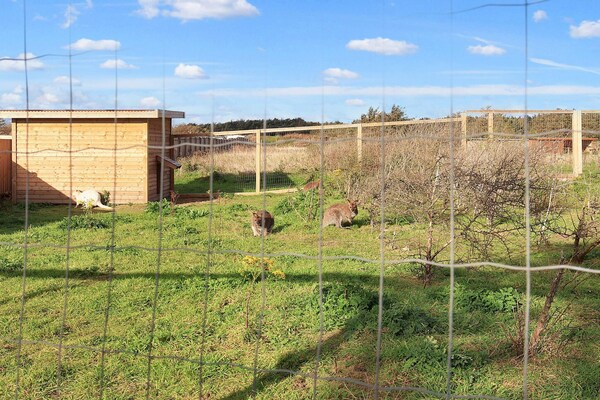 Foto van Gezellig kustverblijf -- By Traum Ferienwohnungen - Vakantiehuis in Løkken - View