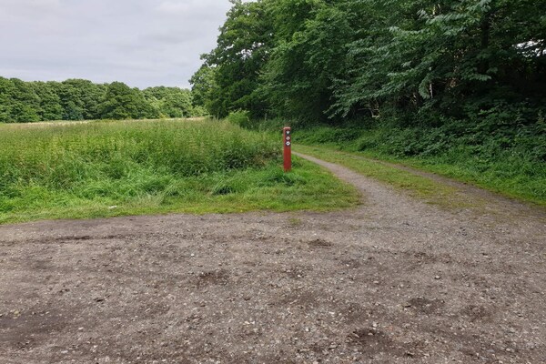 Foto van Vreedzame hut in Ebeltoft - Vakantiehuis in Ebeltoft - Untagged