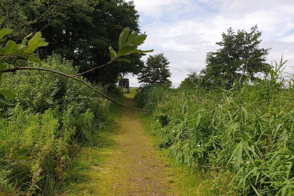 Foto van Vreedzame hut in Ebeltoft - Vakantiehuis in Ebeltoft - Untagged