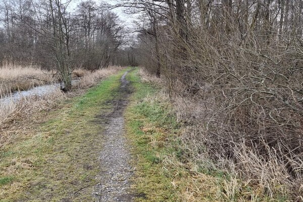 Foto van Vreedzame hut in Ebeltoft - Vakantiehuis in Ebeltoft - WaterView