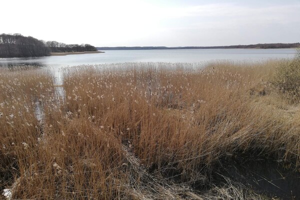 Foto van Vreedzame hut in Ebeltoft - Vakantiehuis in Ebeltoft - WaterView